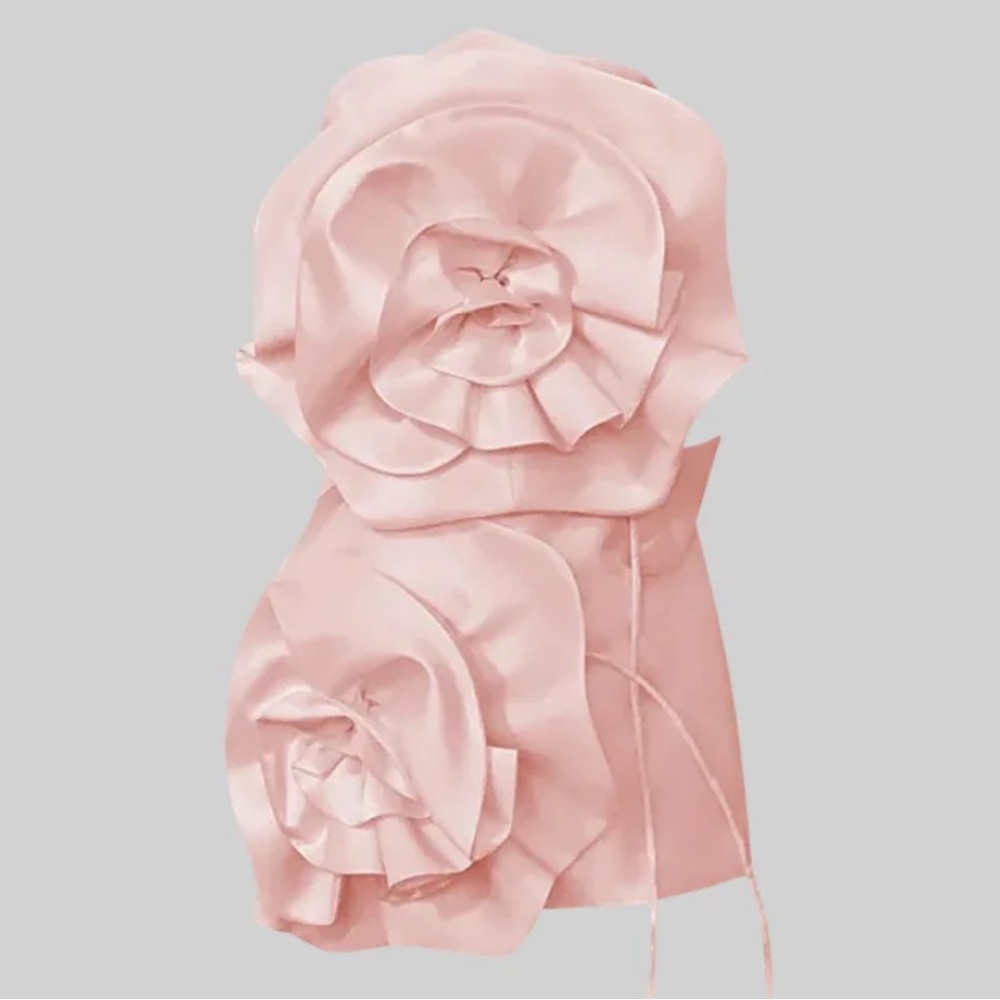 Sierra Darien NWT VOLUMINOUS FLOWER DESIGN DRESS - LIGHT PINK